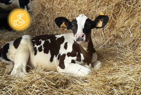 SPOKE6_FlagshipProjects_FORMIDABILÆ