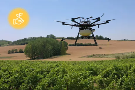 SPOKE6_FlagshipProjects_VINO