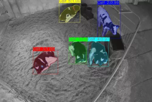 Spoke 6 evento 9 novembre