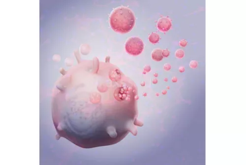 Spoke5_immagine-nanovescicole