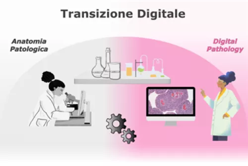 Spoke5_DPLaBsimagepreview2