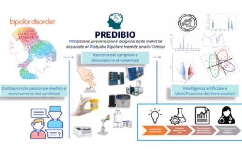 Spoke5_PREDIBIOimagepreview