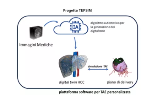 Spoke5_TEPSIMimagepreview