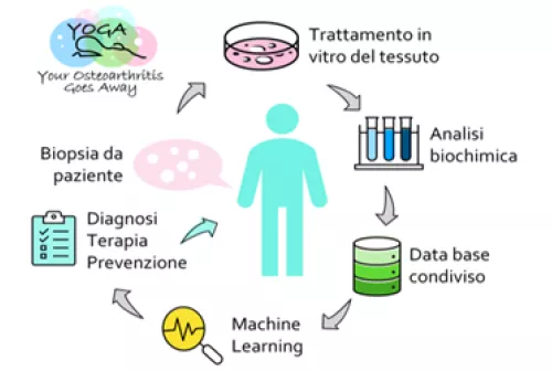 Spoke5_YOGAimagepreview