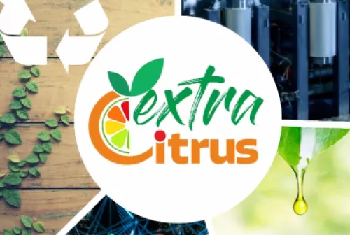 SP2 EXTRACITRUS SMALL