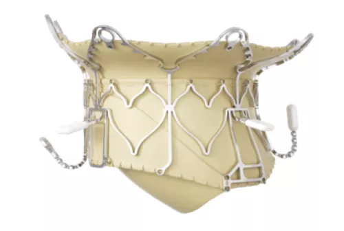 Spoke5_INDICATIONSimagepreview