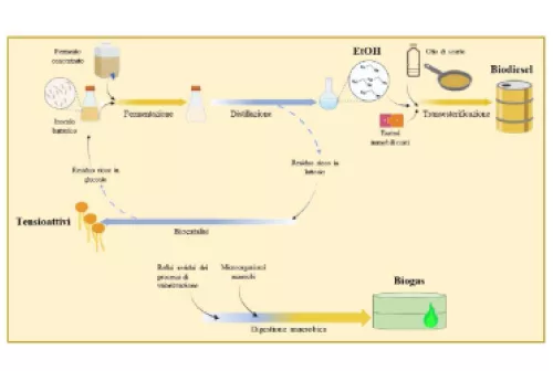 sp2 refinement small