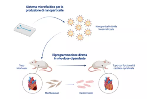 Spoke5_NAPTERimagepreview