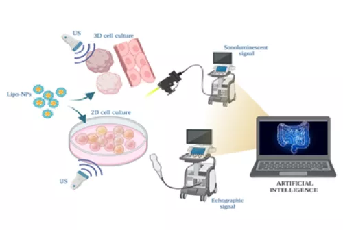 Spoke5_NanoZoomimagepreview