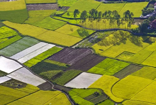 SPOKE3_Paradigma_Preview