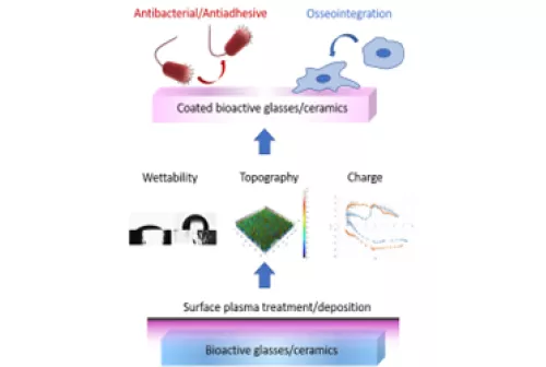 Spoke5_POTENTEimagepreview