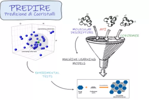 Spoke5_PREDIREimagepreview