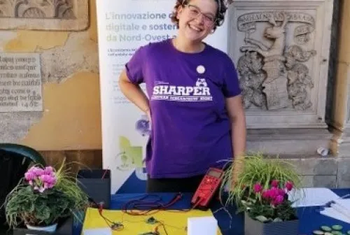 Brugellis _ cover rev