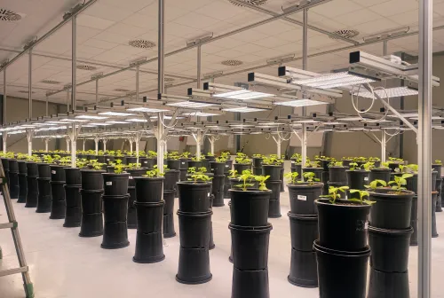 Plant Flow Solutions_SP2