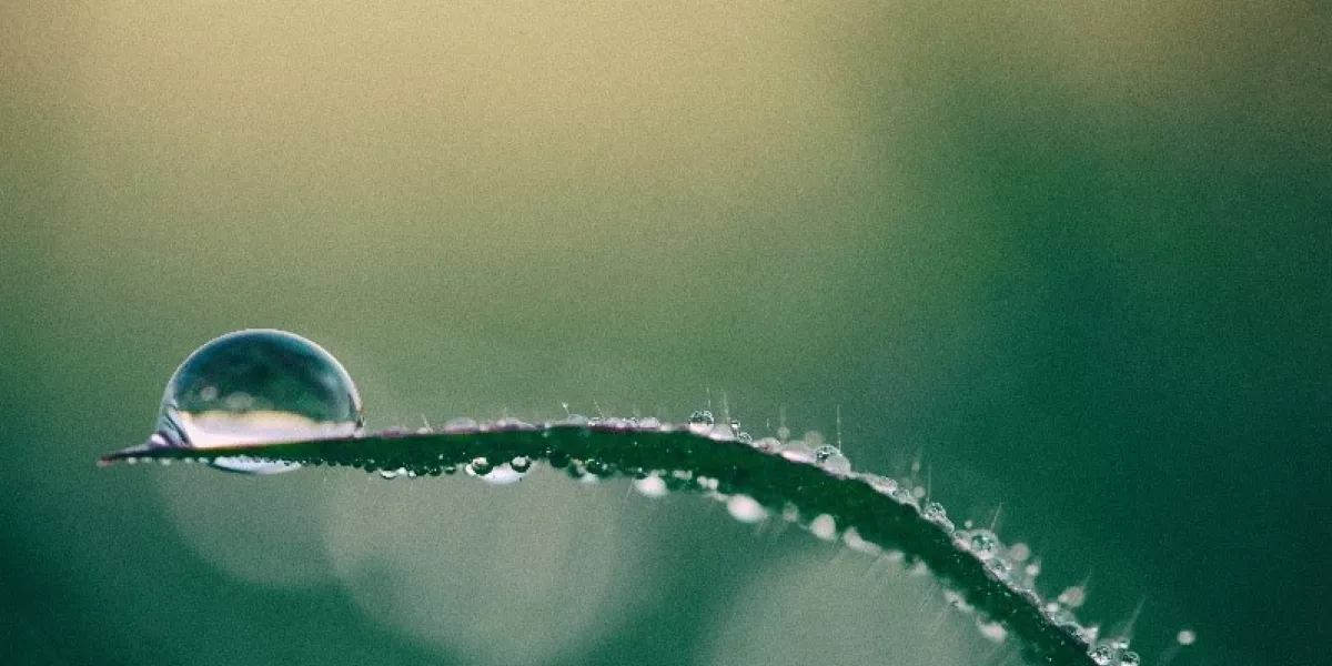 Skin Summer School - foto 1