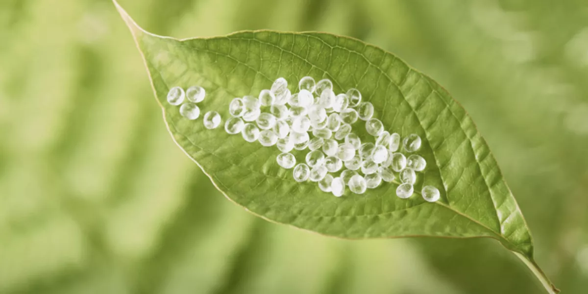 Spoke 2 - Proplast 2