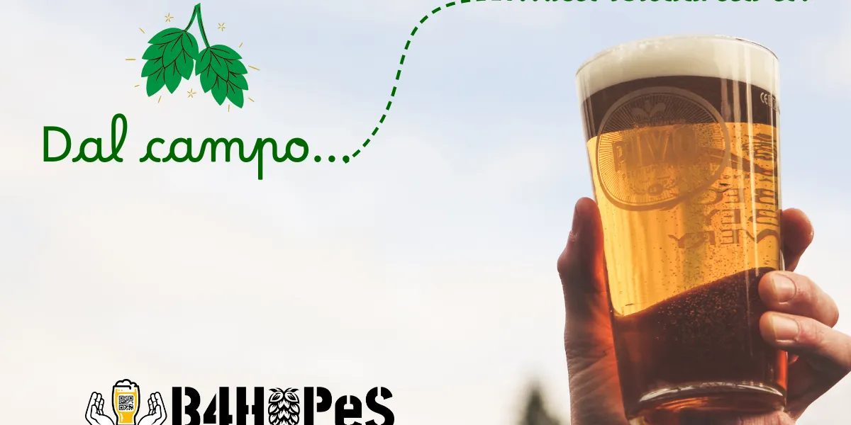 DAL CAMPO AL BICCHIERE