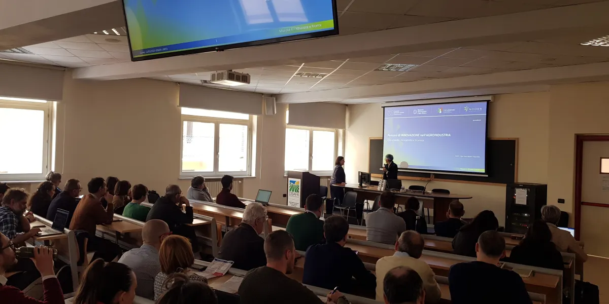 percorsi innovazione