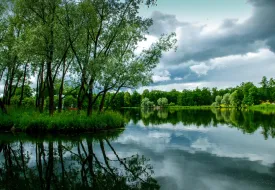 Immagine Evento Green Attraction